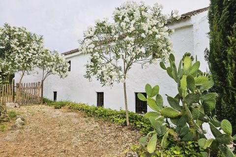 Landejendom i Rute, Cordoba, Rute - € 325.000 | Ref: Ella - foto 46